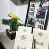 Paquete 6 Imanes